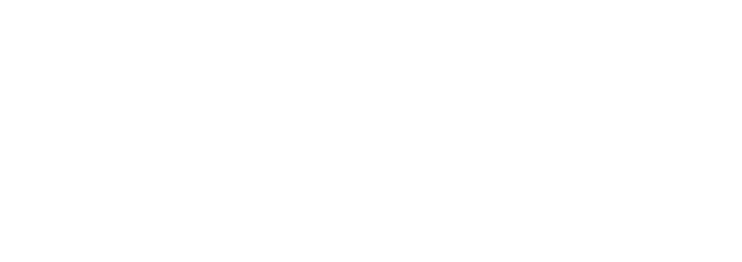 Bloomora Footer Logo